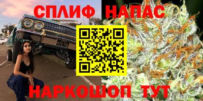 хмурый Аргун