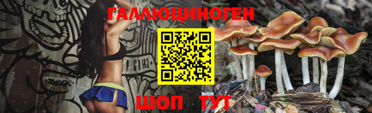 Вязники  Псилоцибиновые грибы Psilocybine cubensis  дарнет шоп  Вход с VPN 